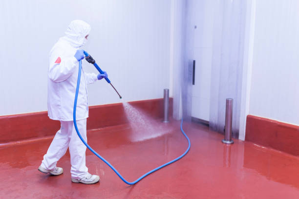 Best Rust and Stain Removal in University Center, VA