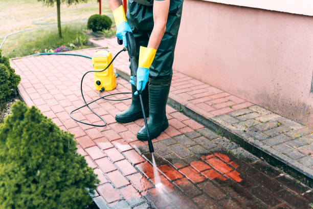 Best Gutter Cleaning and Brightening in University Center, VA